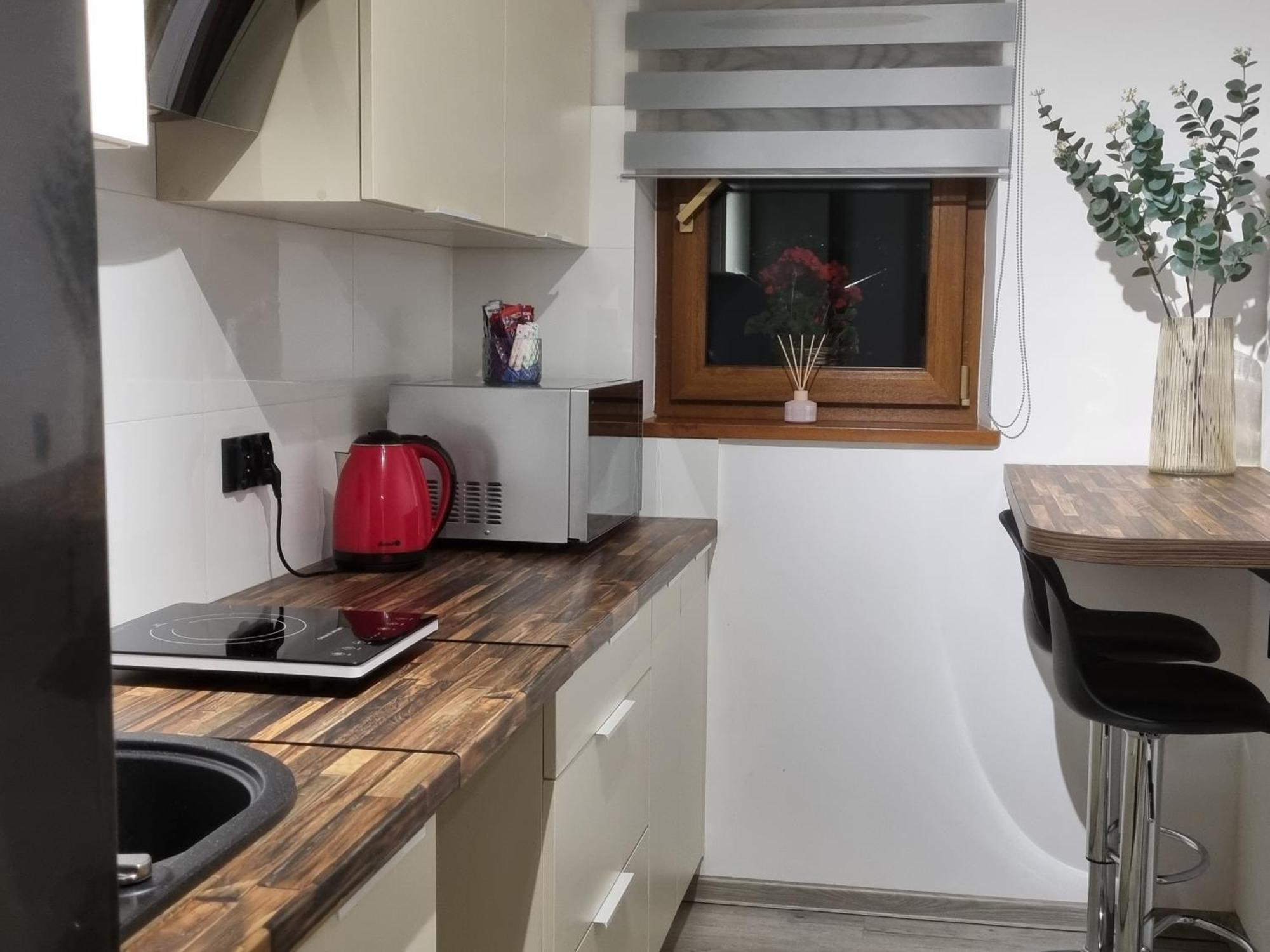 Apartament Paula Jelenia Góra Extérieur photo