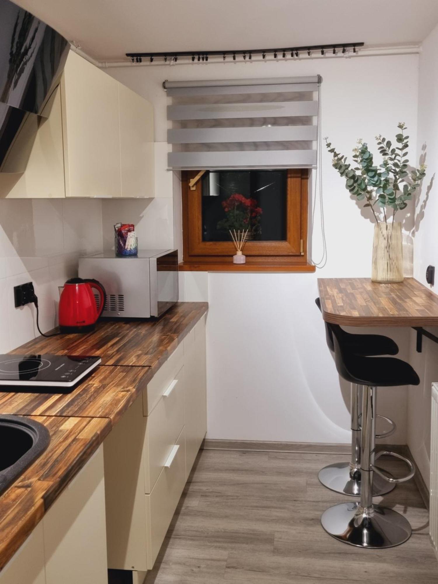 Apartament Paula Jelenia Góra Extérieur photo